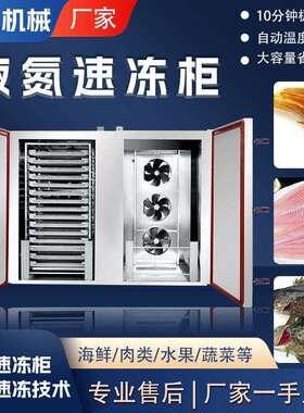 商用全自动菠萝葡萄芒果速冻机不锈钢面食面包液氮低温速冻柜