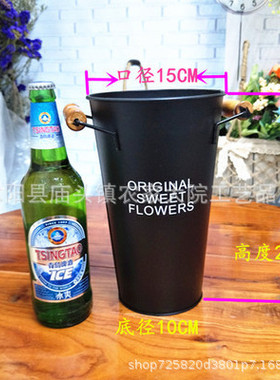 鲜花鲜花养花干花花盆装饰摆件