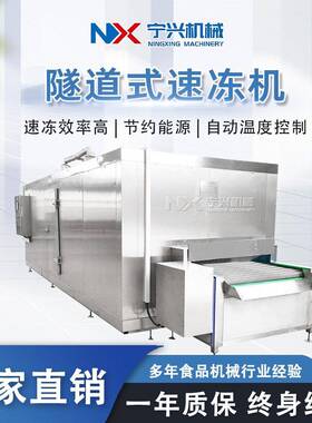 商用隧道式速冻机用于蔬菜水果海鲜和材的冷冻设备 水饺和肉类