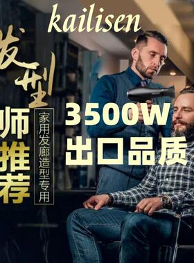 发廊电吹风机理发店专用大功率风筒男士家用大风力负离子护发静音