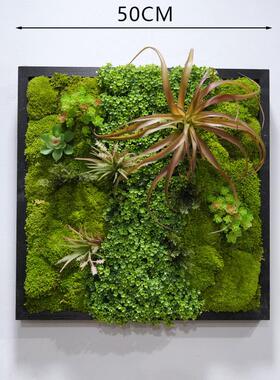 永生苔藓植物壁挂室内墙面软装白发藓样品房走廊装饰框画彷真多肉