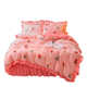 Winter warm double-sided crystal velvet thickened coral velvet princess style bedding flannel sheet bed skirt bed cover four-piece set