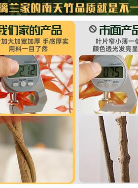南天竹仿真绿植红色室内客厅高级感仿生假植物直播间装饰落地摆件