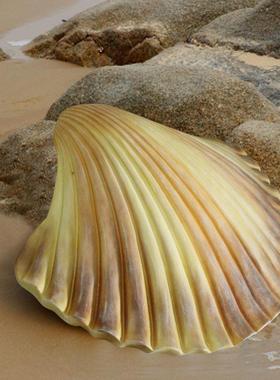 仿真扇贝摆件海洋主题海星雕塑水族馆展馆墙面招牌壁挂贝壳装饰品