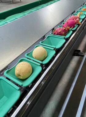 石榴小型重量分拣机 凯特芒无损称重选果机 杨桃克重筛果分级机