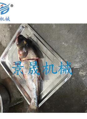 定金工厂供应切鱼段机，切鱼条切鱼块机冻鱼干鱼鲜鱼制作设备