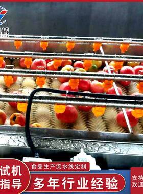 全自动喷淋式蔬菜清洗机工业气泡洗菜机大型商用鱿鱼清洗机