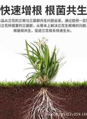 兰灵王兰花专用营养液肥料兰陵王EM菌兰科蝴蝶兰墨兰君子兰促花液