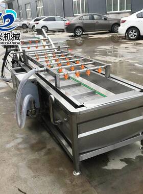 榨菜软包装挑选清洗机苹果葡萄气泡清洗机材清洗加工流水线