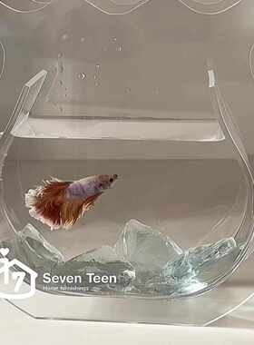 花瓶装饰造景ins餐桌感鱼缸桌面感客厅生活小众仪式创意摆件