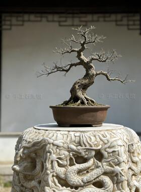 石雕龙墩汉白玉龙座石墩复古手工雕刻花盆底座花台柱中式庭院石墩