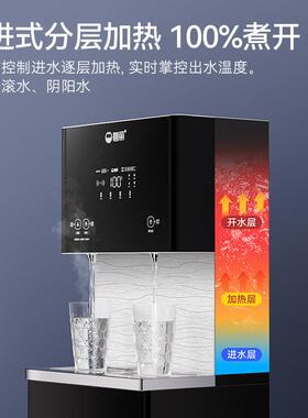 碧丽商用开水器饮水机净水直饮机反渗透办公学校单位JO-K20G