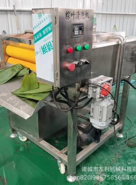 全自动粽叶清洗机芦苇叶草果叶刷洗设备糯米鸡荷叶洗叶子机器