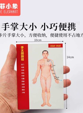 十二经络穴位图速记学习卡人体中医针灸模型教学走向挂12全身部位