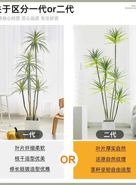 轻奢仿真绿植千年木客厅装饰盆栽植物仿生假花龙血树室内落地摆件