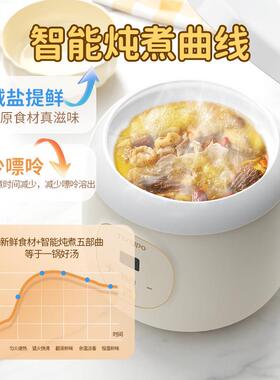饭DDG-10B藤婆迷你电炖锅家用小型煮粥锅陶瓷炖盅煲汤新神器款款