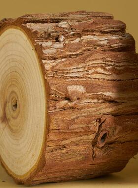 天然原木桩底座拍照道具木头片背景装饰摆饰ins风陈列静物拍摄