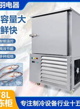 哇噢冻牛杂牛筋肉商制食品伽工急冻速柜用小型速冻柜241工厂现货