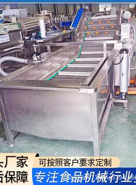 全自动果蔬气泡清洗机器多功能蔬菜清洗机连续式药材气泡清洗设备