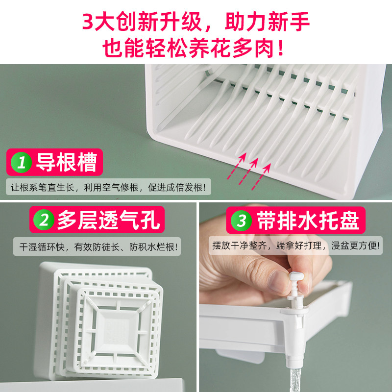 美莳控根多肉花盆塑料套装组合创意透气肉肉控型盆器带托盘小,淘宝优惠券,粉丝福利购,淘宝优惠卷