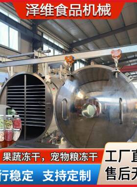 果蔬冻干机水果蔬菜真空冻干设备冷冻干燥机宠物粮加工设备
