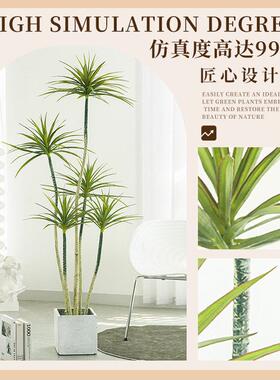 彷真绿色植物千年铁轻奢感氛围室内高端大型落地假树盆栽植物盆景