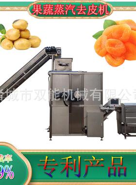 蒸汽脱皮机 黄桃葡萄果蔬去皮 头加工设备全自动加工流水线定制
