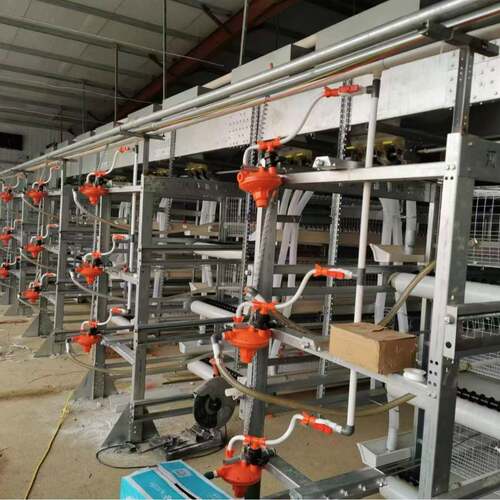 鸡笼肉鸡笼全自动半自动立式肉鸡笼养殖场用自动肉鸡笼H型肉鸡笼 - 图1
