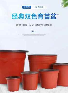 双色育苗花盆/育苗钵插扦加厚大号营养杯种植花盆家用塑料育苗盆