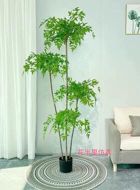 南天竹彷真绿色植物大型室内客厅造景落地摆件装饰盆栽彷生植物假