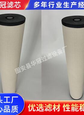 替颇尔1202846聚结滤油机分离滤芯工程器械设备玻纤液压油滤芯