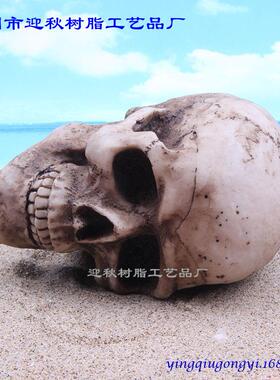 厂家直供骷髅头人类头骨树脂工艺品摆件水族造景万圣节骷髅头