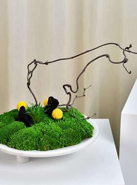 中式餐桌中间景观插花仿真绿植摆件餐厅仿真装饰永生青苔桌面摆件