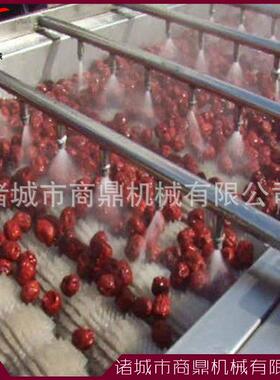 供应商鼎牌 水果蔬菜气泡清洗机 清洗风干设备 压气泡清洗