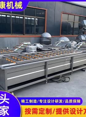 全自动果蔬气泡清洗机茶油果高压气泡清洗机懒人菜清洗设备