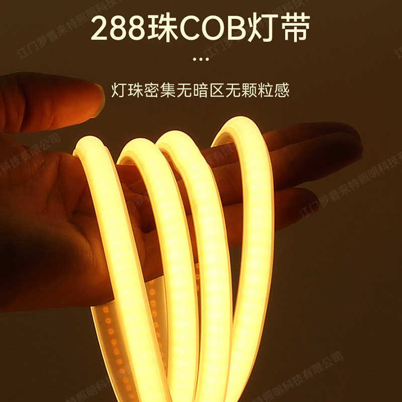 水下COB硅胶灯带24Vled户外防水IP68灌胶无光斑柔性线性灯条泳池,淘宝优惠券,粉丝福利购,淘宝优惠卷
