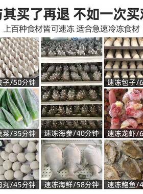 立式-45度速冻柜海鲜食品生鲜速冻机水果鲜肉速冻设备液氮速冻机