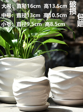 轻奢家用可爱创意多肉绿植盆栽蝴蝶兰陶瓷花盆营养土带托盘