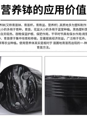 黑色农用塑料育苗盆营养杯育苗杯种植袋简易营养袋育苗袋
