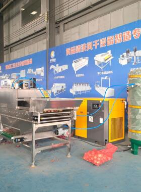 全自动商用洋葱去皮机传304不锈钢脱皮机果蔬去皮机