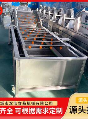 气泡清洗机大型果蔬辣椒西蓝花洗菜机商用清洗机菠菜鼓泡清洗机