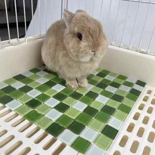 兔子趴趴垫仓鼠降温冰垫龙猫冰窝夏天散热消暑凉席子荷兰猪降温板 - 图3