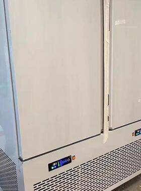 速冻柜商用12盘冰柜插盘风冷无霜烘焙包子饺子急速冻机冷冻柜