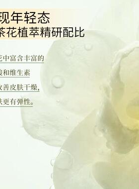 【4盒】以油养肤丨L依姿露山茶花抗皱紧致油敷面膜
