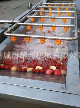 大型全自动洗柑桔机器商用气泡喷淋冰糖橙清洗设备工业洗金桔机