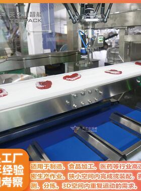 视觉检测抓取食品自动装箱装盒并联机器人视觉检测上料系统