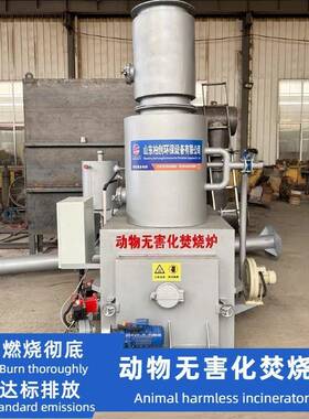 工业垃圾焚烧炉 可加装自动上料设备 垃圾高温热解气化炉 焚烧炉