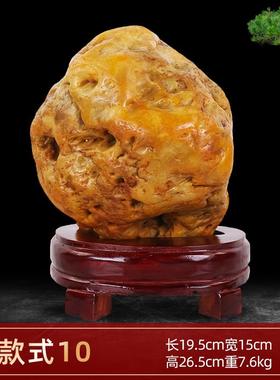 正品天观然黄蜡石原石龙摆件奇石假山观景石室内客厅办公室黄玉赏