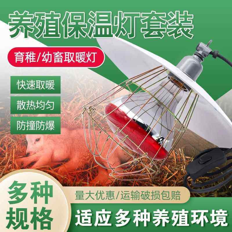 养殖保温灯罩套装防撞防爆铁丝网罩猪用育雏取暖灯鸡鸭鹅保温灯泡,淘宝优惠券,粉丝福利购,淘宝优惠卷
