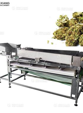凤翔水果加工整套设备果蔬去核机清洗机分级机